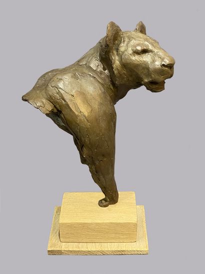 null BODIN Jean Marc (born in 1965)

Head of a lioness 

Bronze numbered 1/8, signed

Mounted...
