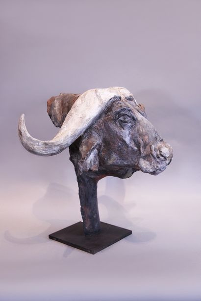 null CRETU Claire (born in 1966)

Quiet strength, buffalo head

Sculpture in patinated...