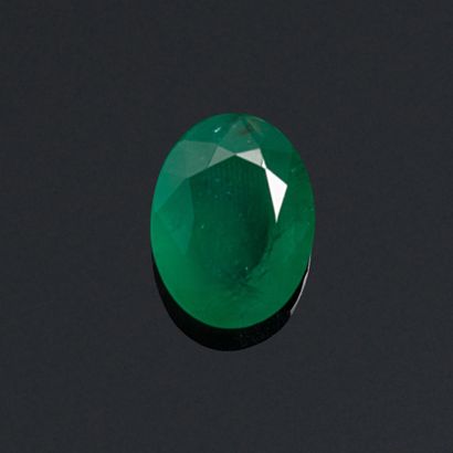 null Oval emerald on paper. 

Accompanied by a GIA certificate.

Weight : 6.79 c...