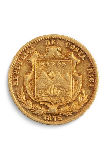 null COSTA RICA - Amérique Centrale

5 pesos or 1875

Friedberg : 13

TTB