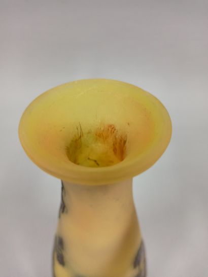 null ETABLISSEMENTS GALLE (1904-1936) 

Vase conique à col conique. Épreuve en verre...