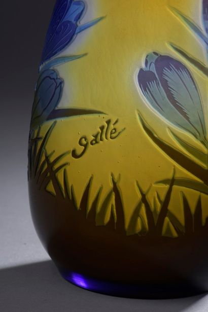 null ETABLISSEMENTS GALLE (1904-1936) 

Vase ovoïde et col ouvert sur talon annulaire....