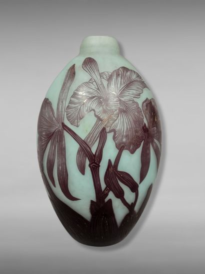 null André DELATTE (1887-1953) - NANCY

An ovoid vase with a ring neck. Proof in...