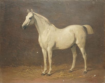 VOLKERS Émil, 1831-1905 
Portrait de cheval,...