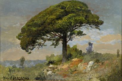 null BERTRAND Paulin, 1852-1940

The Umbrella Pine

oil on canvas pasted on cardboard...