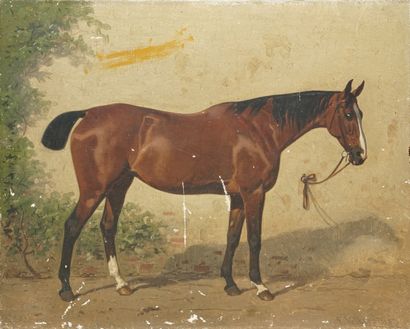 null VOLKERS Émil, 1831-1905

Portrait de cheval, Nausikaa, 1885

huile sur toile...