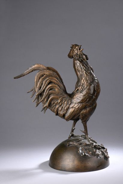 CAIN Nicolas Auguste, 1821-1894 
Coq 
bronze...
