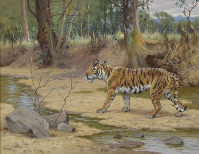 RÖTIG Georges Frédérick, 1873-1961

Tiger...