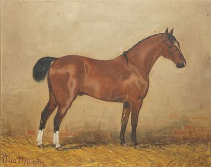  MÜNSTER Mia, 1894-1970 
Portraits de cheval, Orc 
huile sur toile (craquelures et...