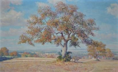 BONNEROT PIERRE, XIX-XXE SIÈCLE Le champ au grand arbre huile sur toile, signée en...