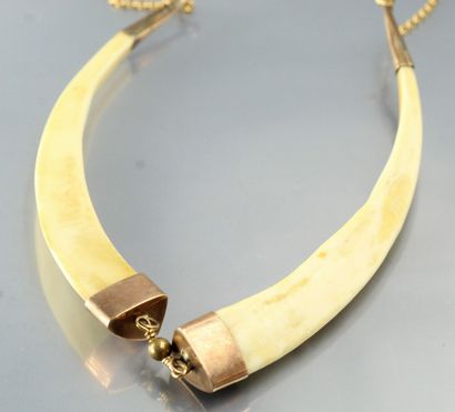 null Collier en dents de phacochère avec embout en métal et chaine en or