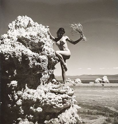 null Photographie. André de DIENES (1913-1985). Femme Nue (sur une plage et rochers)....