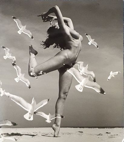null Photographie. André de DIENES (1913-1985). Femme Nue (sur une plage avec oiseaux)....