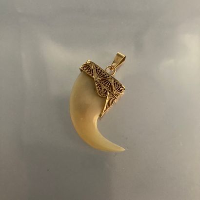 null 18K (750) yellow gold pendant holding a tiger claw.

Gross weight. : 4.9 g