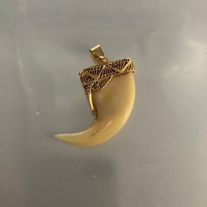 null Pendentif en or jaune 18K (750) retenant une griffe de tigre.

Poids brut. :...