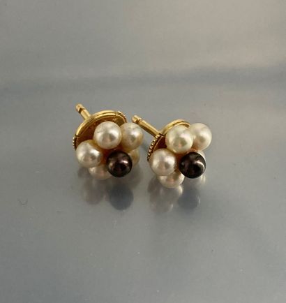 null Stud earrings with cultured pearls (x5) and thaiti (x1), 18k (750) yellow gold...