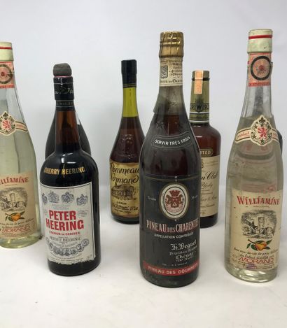 null 8 bouteilles SPIRITUEUX (whisky Canadian Club, Williamine, Armagnac vieux présumé...