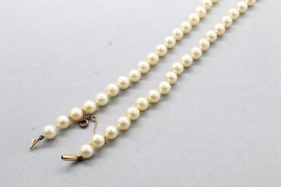 null Collier de perles choker, le fermoir en or jaune 18k (750). 

Diam des perles...