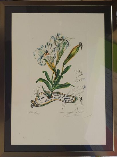 null DALI Salvador, after 

Lilies and watches 

Lithograph signed lower right, numbered...