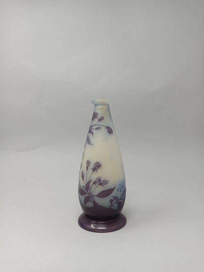 null GALLÉ (Dans le goût de)

Vase de forme fuselée élevée sur piédouche débordant

Épreuve...