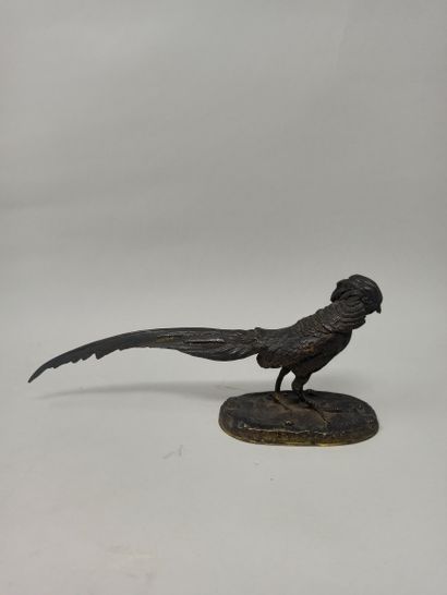 DEMAY Germain (1819-1886)

Pheasant, bronze...