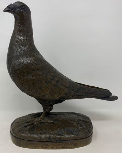 null Trophée de concours en bronze figurant un pigeon à patine brune, signé en bas...