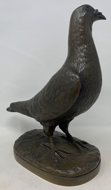 null Trophée de concours en bronze figurant un pigeon à patine brune, signé en bas...