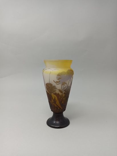 null GALLÉ (In the taste of)

Horned vase with a large neck on a pedestal 

Proof...