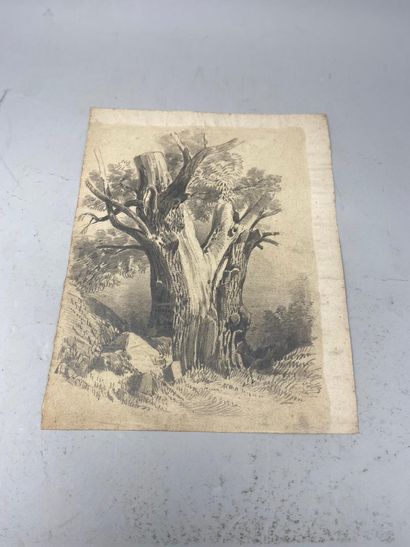 null Emile GAUTTIER 

Porte-folio de 25 dessins au crayon représentant des paysages...