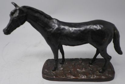 Horse in bronze with black patina, the terrace...