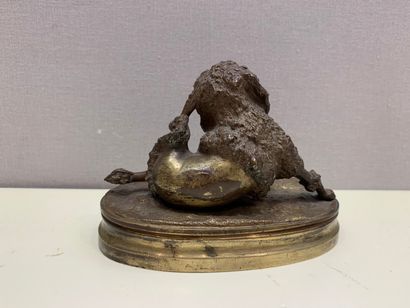 null ANONYMOUS XIX-XXth century

Poodle with his toilet

bronze with brown patina...
