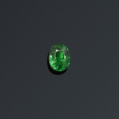 null Oval tsavorite garnet on paper. 

Accompanied by a certificate AIG indicating...