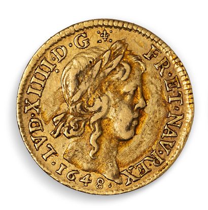 null LOUIS XIV (1643 - 1715)

Louis d'or à la mèche longue 1648 Paris. 

Dup. : 1422....