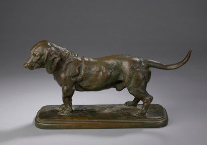 null BARYE Antoine Louis, 1796-1875

Basset debout, tête tournée à gauche

bronze...