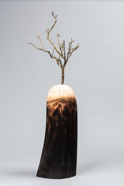 null SEBBAN Arno, born in 1975

Origin of the world, 2018

wood carved and burned...