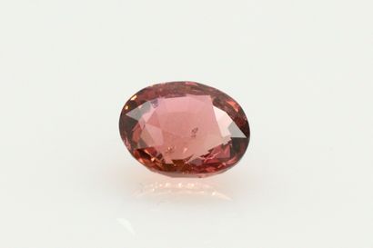 null Pink/orange tourmaline on paper. 

Accompanied by an AIG certificate dated November...