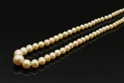 null Necklace of 131 fine pearls baroque in fall, clasp set with old cut diamonds...