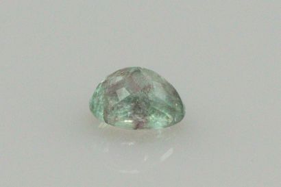 null Blue oval tourmaline said "paraïba leopard" due to its color and its inclusions...