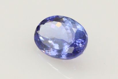 null Oval Tanzanite on paper. 

Weight : 5.28 cts.
