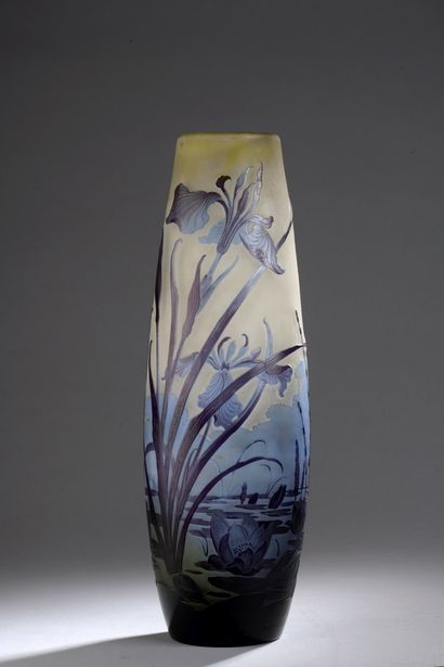 ETABLISSEMENTS GALLE (1904 - 1936)

Vase...