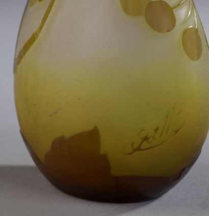 null GALLE

Soliflore with ovoid body and long conical neck. Proof in amber brown...