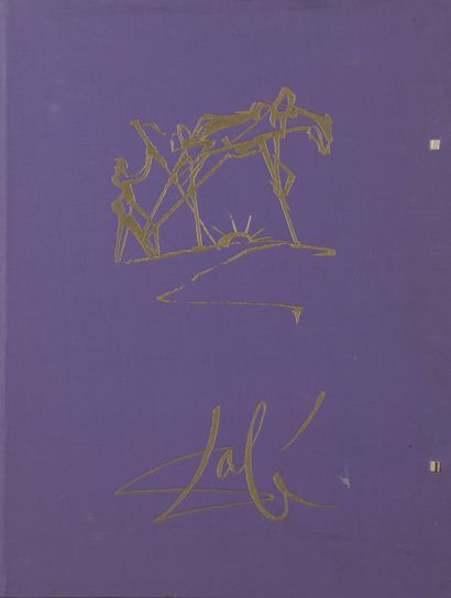 null DALI Salvador, 1904-1989

Les chevaux daliniens, 1970/72

suite de 21 lithographies...