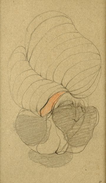 null BELLMER Hans, 1902-1975

Untitled

graphite and red pencil on paper (light insolation)

trace...