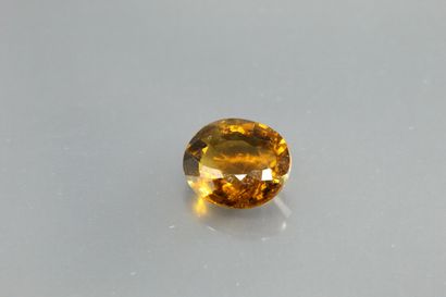 null Tourmaline jaune/orange ovale sur papier.

Poids : 1, 36 cts. 

Plan de déc...