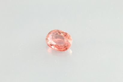 null Pink tourmaline oval on paper.

Weight : 1, 65 cts.