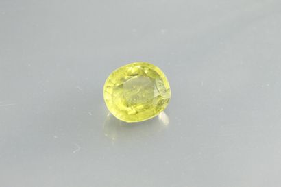 null Green tourmaline oval on paper. 

Weight : 2, 82 cts.