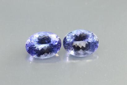 Appairage de Tanzanite (violetish blue) ovale...
