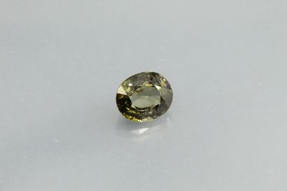 null Green tourmaline oval on paper.

Weight : 1, 62 cts.