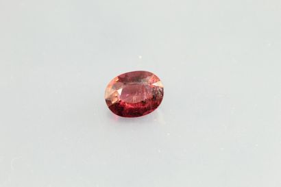 null Pink tourmaline oval on paper.

Weight : 1, 39 cts.