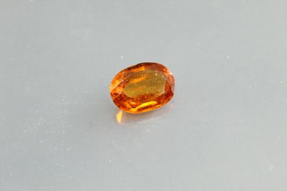 null Grenat orange - Hessonite ovale sur papier.

Sri Lanka.

Poids : 1, 84 cts.